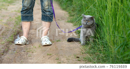 Woman with a british shorthair cat on a leash on a countryside road in summer Woman with a british shorthair cat on a leash on a countryside road in summer 76119889