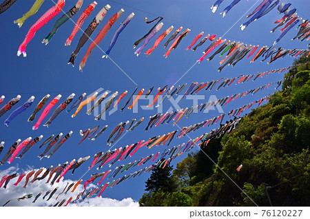 Carp streamer festival in Kanna Town, Gunma Prefecture 76120227