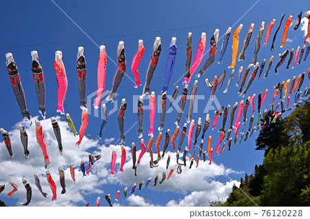 Carp streamer festival in Kanna Town, Gunma Prefecture Carp streamer festival in Kanna Town, Gunma Prefecture 76120228