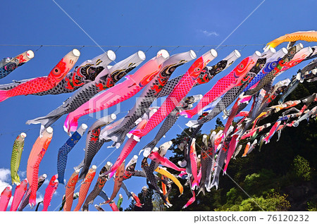 Carp streamer festival in Kanna Town, Gunma Prefecture Carp streamer festival in Kanna Town, Gunma Prefecture 76120232