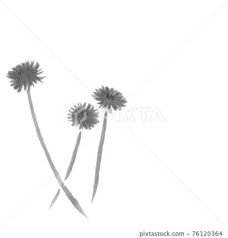 蒲公英（手繪墨水插畫） 76120364