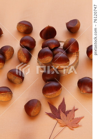 栗明的形象 76120747