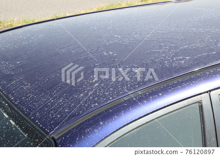 屋頂上的污垢 76120897