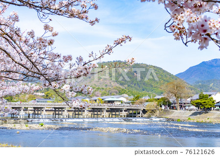 嵐山渡月橋櫻花 76121626