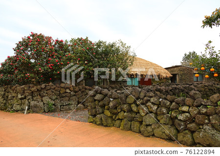 Jeju Seongeup Folk Village, folk, castle site, cherry blossoms, rape blossoms, spring, spring flowers, village, classics, Jeju Seongeup Folk Village, folk, castle site, cherry blossoms, rape blossoms, spring, spring flowers, village, classics, 76122894