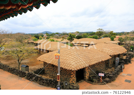 Jeju Seongeup Folk Village, folk, castle site, cherry blossoms, rape blossoms, spring, spring flowers, village, classics, Jeju Seongeup Folk Village, folk, castle site, cherry blossoms, rape blossoms, spring, spring flowers, village, classics, 76122946