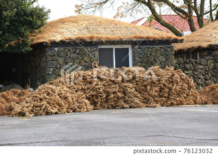 濟州城邑民俗村,民俗,城堡遺址,櫻花,油菜花,春天,春天的花,村,經典, 濟州城邑民俗村,民俗,城堡遺址,櫻花,油菜花,春天,春天的花,村,經典, 76123032