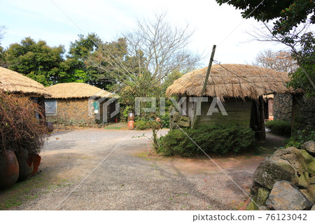Jeju Seongeup Folk Village, folk, castle site, cherry blossoms, rape blossoms, spring, spring flowers, village, classics, 76123042