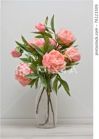 Beautiful Pink Peony Flowers Beautiful Pink Peony Flowers 76123309