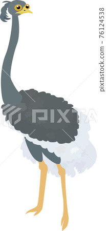Funny cartoon gray ostrich isolated on white Funny cartoon gray ostrich isolated on white 76124538