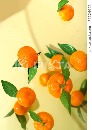 Fresh, ripe, juicy tangerines with leaves, falling or flying in the sunlight. Fresh, ripe, juicy tangerines with leaves, falling or flying in the sunlight. 76124693