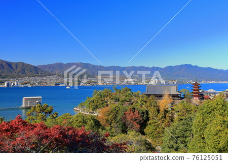 [Hiroshima Prefecture] Autumn Miyajima (Itsukushima Shrine) 76125051