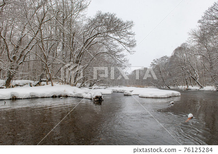 可以劃獨木舟的釧路川源頭 可以劃獨木舟的釧路川源頭 76125284
