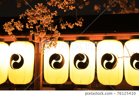 Kyoto's famous cherry blossoms and lanterns at Oishi Shrine illuminated Kyoto's famous cherry blossoms and lanterns at Oishi Shrine illuminated 76125410