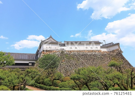 [Kochi Prefecture] Kochi Castle 76125481