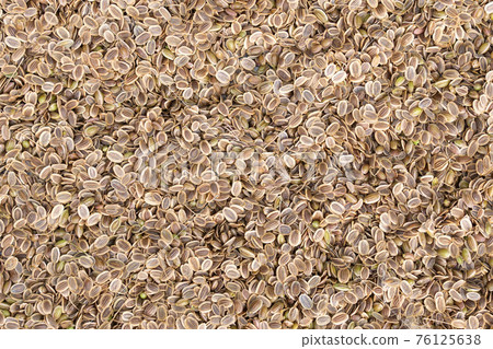 different spices dill close up. Textures of colorful spices and condiments different spices dill close up. Textures of colorful spices and condiments 76125638