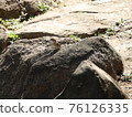 Sparrows perching on rocks 76126335