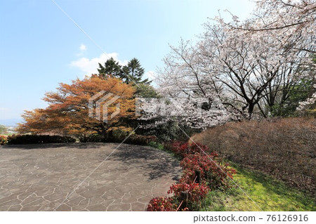 Bami多小山公園春天風景 Bami多小山公園春天風景 76126916
