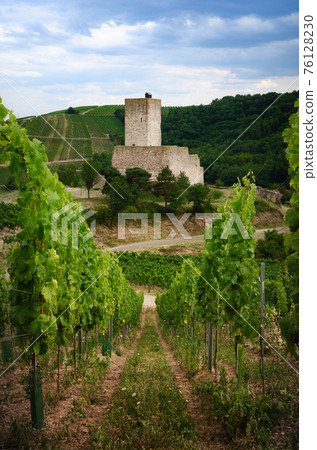 Chateau de Wineck, castle in the vineyard of Katzenthal, Alsace (france) Chateau de Wineck, castle in the vineyard of Katzenthal, Alsace (france) 76128230
