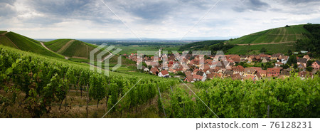 Vineyards and panoramic view of Katzenthal, winemaking village in Alsace (france) 76128231