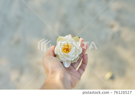 White lily flower in woman's hand, river water sand background White lily flower in woman's hand, river water sand background 76128527