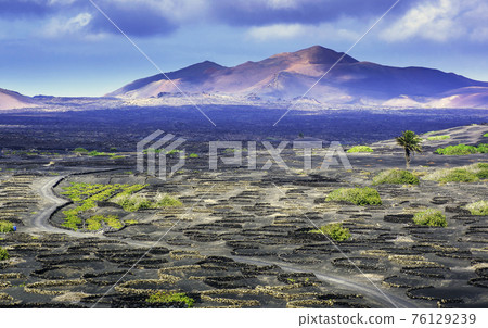 The Wine Valley of La Geria - Lanzarote, Spain The Wine Valley of La Geria - Lanzarote, Spain 76129239