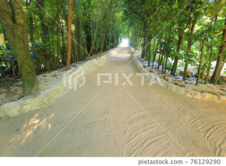 福木走廊沖繩備瀨 76129290