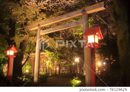 3月下旬稻荷神社的夜櫻（雨天點亮的奇景）-簡單的鳥居和燈籠 76129629