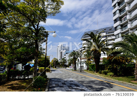 新浦安站附近一群棕櫚樹成排的公寓的風景 76130039