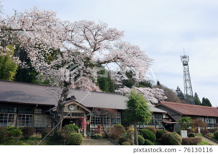 茨城縣醍醐町春天的原宇和岡小學 茨城縣醍醐町春天的原宇和岡小學 76130116
