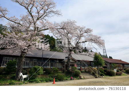 茨城縣醍醐町春天的原宇和岡小學 茨城縣醍醐町春天的原宇和岡小學 76130118