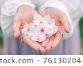 包裹櫻花的手 76130204