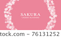 Cherry blossom design, cherry blossoms 76131252