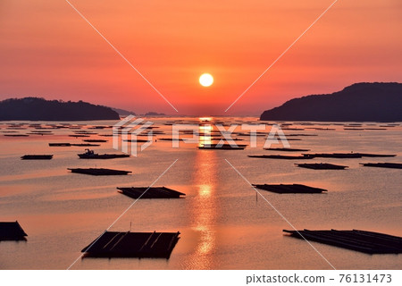 Asahi of Mushimei Gate 76131473