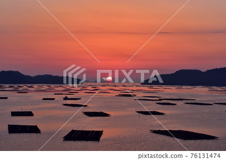 Asahi of Mushimei Gate 76131474