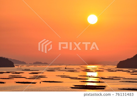 Asahi of Mushimei Gate 76131483