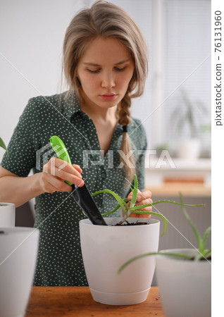 Girl transplanting plants at home in white pots Girl transplanting plants at home in white pots 76131960