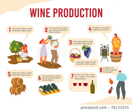 Infographics with inscriptions wine production steps, vector illustration. Wine technology at home, flat banner. Design viticulture in agriculture. Infographics with inscriptions wine production steps, vector illustration. Wine technology at home, flat banner. Design viticulture in agriculture. 76132035