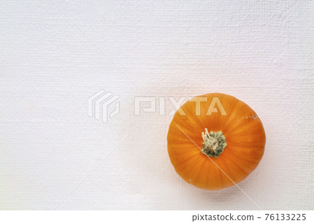 ornamental pumpkin gourd on white art canvas ornamental pumpkin gourd on white art canvas 76133225