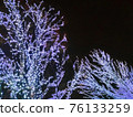 樹木的 LED 照明 1 76133259