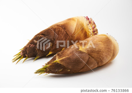 Bamboo shoots on a white background 76133866