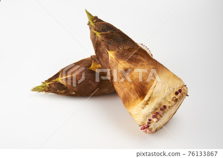 Bamboo shoots on a white background 76133867