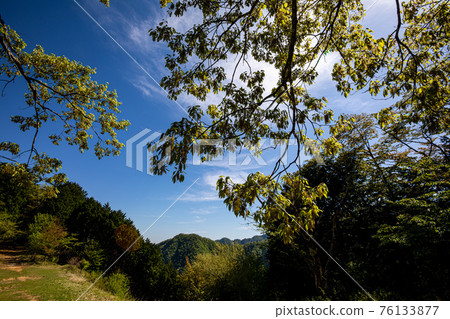 Light and refreshing at your feet, green of lukewarm sprouts Light and refreshing at your feet, green of lukewarm sprouts 76133877