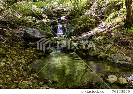 腳下清涼，微涼的綠豆芽 76133909