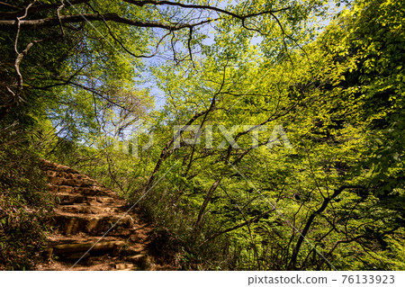 腳下清涼,微涼的綠豆芽 腳下清涼,微涼的綠豆芽 76133923