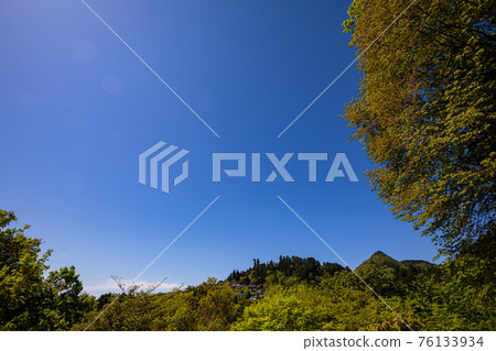 Light and refreshing at your feet, green of lukewarm sprouts Light and refreshing at your feet, green of lukewarm sprouts 76133934