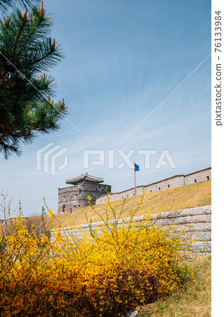 Hwaseong Fortress at spring in Suwon, korea 76133984