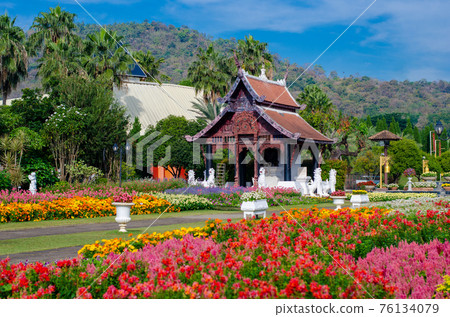 flower garden Royal Park Ratchaphruek Chiang Mai Thailand 76134079