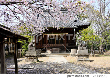 真成神社 76134580