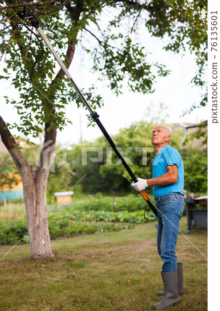 Gardener with prunning tool - lopper cutter Gardener with prunning tool - lopper cutter 76135601